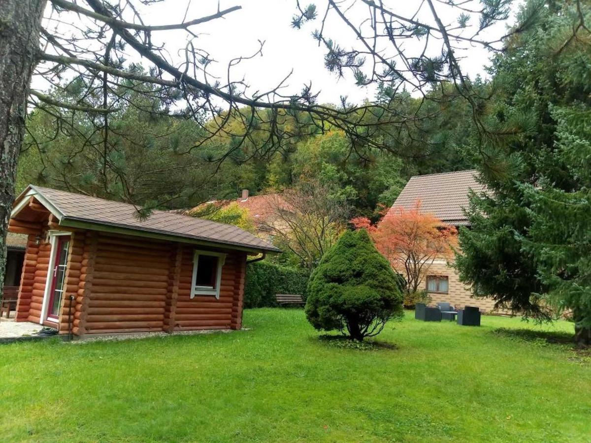 Appartamento Haus Am Wolfsbach Zorge Esterno foto